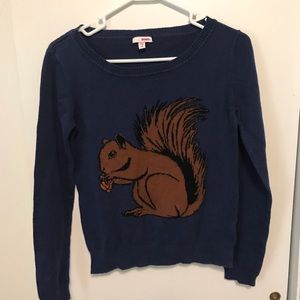 Squirrel sweater